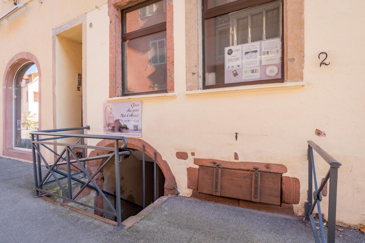 Gite Le Caveau Selestat - 30Min Europapark 外观 照片